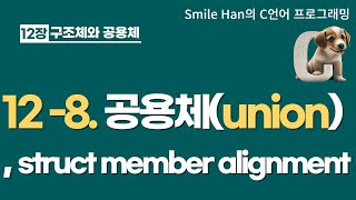 C언어 128  공용체union 구조체 멤버 정렬struct member alignment [upl. by Frieder]