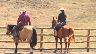 Teach Your Horse to Go Sideways Under Saddle with Pat Parelli [upl. by Yahsed296]