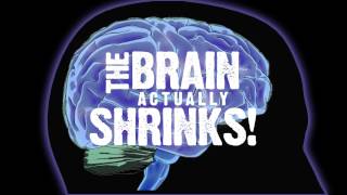 How Drug and Alcohol Abuse Affect the Brain [upl. by Yarahs]