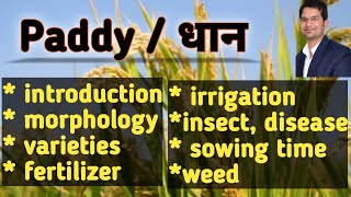 Cultivation of Paddy Rice  धानचावल की खेती  Agronomy  Disease pest weed  Variety  BScAG [upl. by Ilarin675]