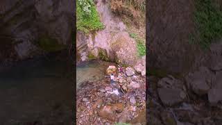 Lava Changey Waterfall View Point vlog vlogs vlogger viralshort video viralvideo lava reels [upl. by Drahser14]