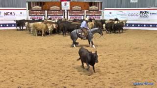 Hashtags and Tatum Rice 2017 NCHA Super Stakes Open Finals Champion [upl. by Annaillil]