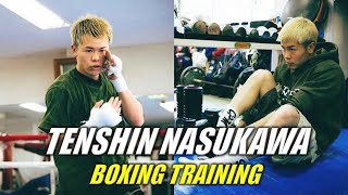 Tenshin Nasukawa Boxing Training [upl. by Ellehcen]