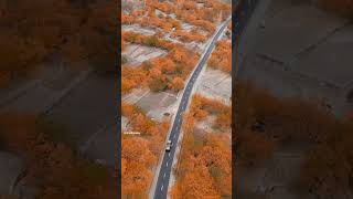 Autumn Barah Valley Khaplu shortvideo nature autumnseason [upl. by Richards905]