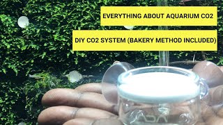 How Co2 For Planted Aquarium  Aquarium Co2 Setup  How to make DIY co2 at home  is Co2 needed [upl. by Adnaram154]