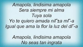 Andrea Bocelli  Amapola Lyrics [upl. by Nagiam666]