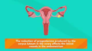 How does MIFEPRISTONE work [upl. by Atisor]