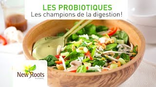 Les probiotiques  Les champions de la digestion [upl. by Bander433]