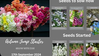 Grow A Long Live Update 18 September 2024 Clary Sage Nigella and Cynoglossum [upl. by Sualk37]