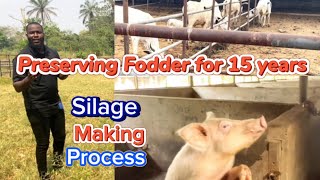 How to Preserve fresh grasses for 15 years to feed cows and pigs Fodder conservative Silage [upl. by Brandes]