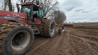 Uprawa Case IH Steiger 9350 Powiększyłem ekipę Awaria koła w separatorze Odkamienianie [upl. by Vastha]