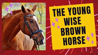 The Farmer and The Young Wise Brown HorseKids StoriesKids Hub [upl. by Wehrle]