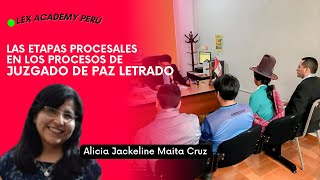 Las etapas procesales en los procesos de Juzgado de Paz Letrado [upl. by Kayle]