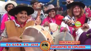 ENCUENTRO de COPLEROS 2018 BARCENA JUJUY [upl. by Leonard]