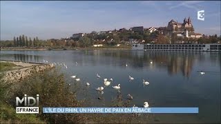 Lîle du Rhin  un havre de paix en Alsace [upl. by Ahsiyt899]