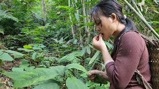 Going to pick wild vegetables was chased and harmed by bad guys  Đặng Thị Phương [upl. by Okiron547]