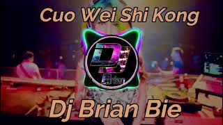 Cuo Wei Shi Kong 错位时空 Remix By Dj Brian Bie [upl. by Crichton182]