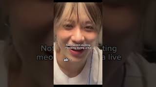 I found this so cut of taemin saying meow like a cat “Live” taemin shinee shineetaemin kpop [upl. by Adiarf]