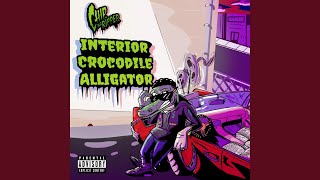 Interior Crocodile Alligator Freestyle [upl. by Mazlack]