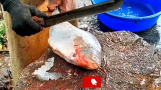 Big Piranha meen cutting Rupchanda fish cutting video Chanda fish cutting skills [upl. by Chabot272]