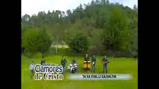 Los clamores de cristo [upl. by Svensen]