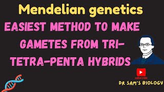 Easiest way to Make Gemetes from TriTetraPenta Hybrids in Genetics [upl. by Purse910]