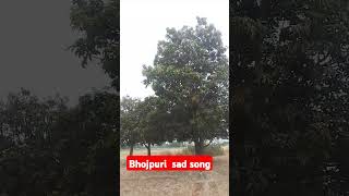 bhojpurisong khesarilalbhojpuri khesarilal song samarsinghoffical funny love [upl. by Enahs]