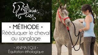 • MÉTHODE • Rééduquer le cheval au sanglage [upl. by Hake]