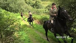 Devon and Somerset Staghounds at Redgate Farm [upl. by Nojid]