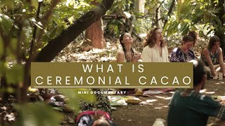 What is Ceremonial Cacao Chernandez5c and Cacao Magick [upl. by Zetrom]