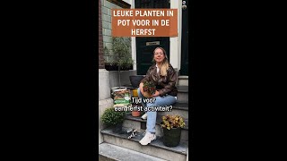 Herfstactiviteit Maak je voortuin gezellig met mooie planten in pot [upl. by Boesch]