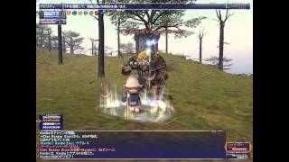 FF11 白ソロでカンパニエバトル  FF11 Campaign battle WHM Solo play [upl. by Nnylf]