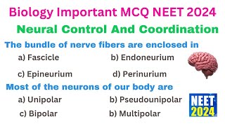 Neural Control And Coordination MCQ  Class 11 Biology One Shot  NEET Biology 2024 MCQ [upl. by Auka969]