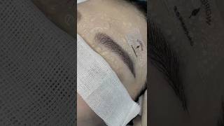 eyebrowplantingmicroblading 植发 植睫毛 植眉 睫毛 eyelashextensions 眉毛 [upl. by Lairbag893]