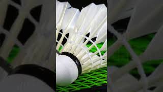 racket khela foryou viralvide baby funny racketsports freefiremax gaming totalgaming gta [upl. by Nesiaj]