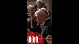 Never get tired of maestros Karajan talent Shorts Karajan Vivaldi [upl. by Sorilda]