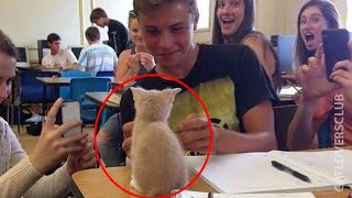 When your cat becomes beloved school mascot Funny Cat and Human 😂 [upl. by Obellia]