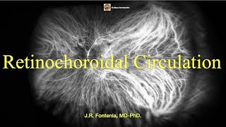 Retinochoroidal Circulation Indocyanine green angiography [upl. by Flanders]