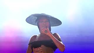 Grace Jones  Williams Blood live at Rosendal Garden Party 2024 [upl. by Tore]