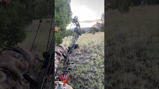 Elk  Archery  Arizona unbeatable  Archery Elk Hunting Video Killshot huntingvideo killshot [upl. by Ylera]