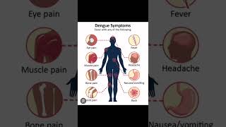 Prevention and treatment of Dengue fever [upl. by Daraj234]