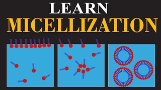 Learn Micellization  Surfactants Critical Micelle Concentration and Applications  ChemClarity [upl. by Noel]