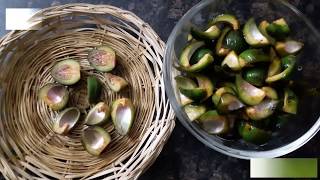 Semal doddae ki sabzi bombax ceiba Recipe Delicious  Chatpati Rare Indian Recipe [upl. by Casimire]