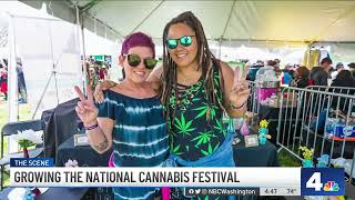 Growing the National Cannabis Festival  NBC4 Washington [upl. by Ondine]