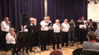 Mondharmonica Festival Helmond 2014 compilatie [upl. by Ailimac]