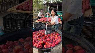 Delicious Red Apple 🍎🍎  Harvesting from Farm With Rural Farmer Activity shorts apple ytshorts [upl. by Nosredneh]