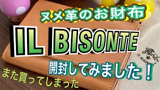 IL BISONTEのお財布開封！！初のヌメ革です！素敵にエイジングできるかなぁ？ [upl. by Levesque]