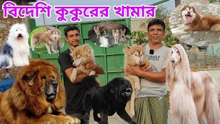 Biggest Dog From in Bangladesh  Dog price in Bangladesh  Big Dog [upl. by Aileon]