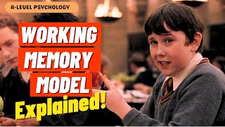 Working Memory Model EXPLAINED  AQA Psychology  Alevel [upl. by Hakvir621]