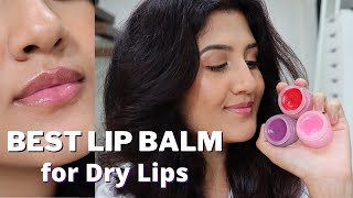 Best Lip Balms for dry lips ft Plum Goodness Vegan Lip Balms  REVIEW  SWATCHES  Madhushree Joshi [upl. by Strickland]